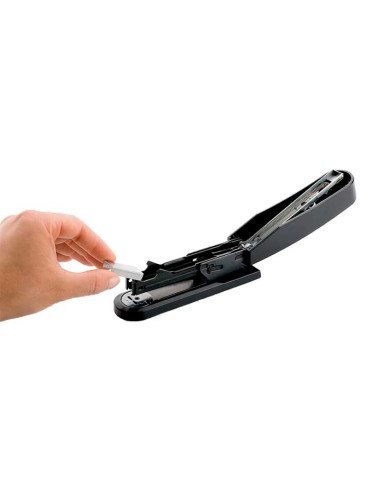 GRAPADORA NOVUS HARMONY B2 RENEW