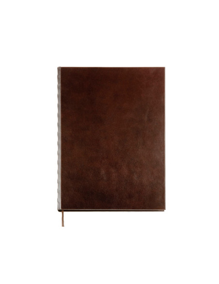 LIBRO DE FIRMAS FINOCAM PIEL LISA MF13 250x350cm 120H