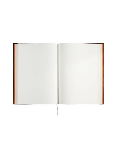 LIBRO DE FIRMAS FINOCAM PIEL LISA MF13 250x350cm 120H