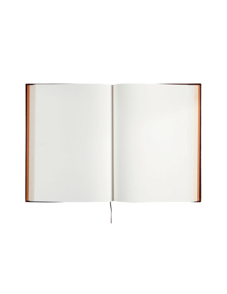 LIBRO DE FIRMAS FINOCAM PIEL LISA MF13 250x350cm 120H