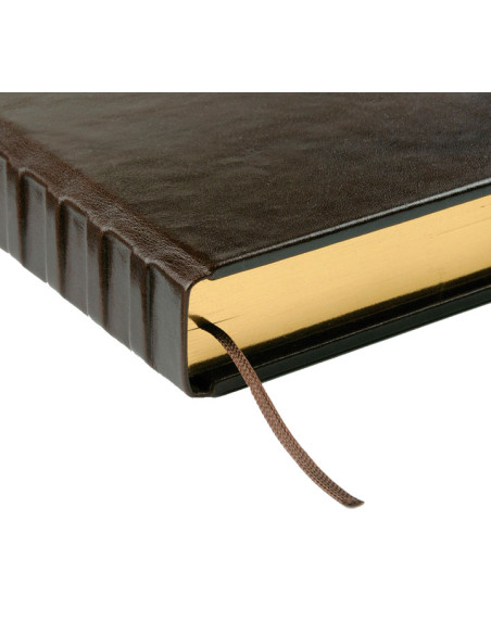 LIBRO DE FIRMAS FINOCAM PIEL LISA MF13 250x350cm 120H