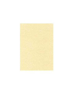 BLÍSTER 25h PAPEL PERGAMINO APLI CHAMPÁN A4 95gr 2