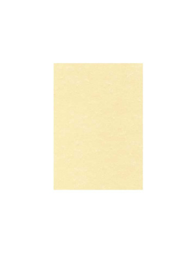 BLÍSTER 25h PAPEL PERGAMINO APLI CHAMPÁN A4 95gr