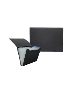 CARPETA CLASIFICADORA CON FUELLE