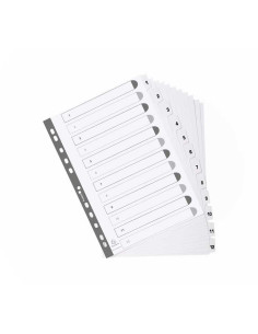 SEPARADORES EXACOMPTA DE CARTULINA 1-12 POSICIONES 2