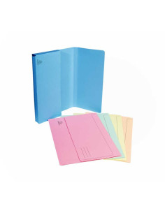 PACK 50 SUBCARPETAS EXACOMPTA SUPER 210 A4 SURTIDO