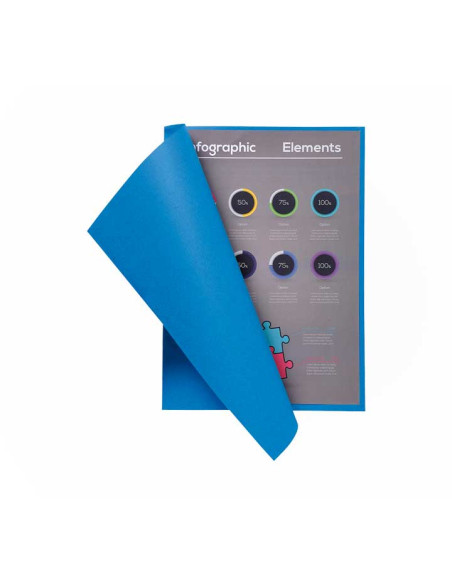 PACK 100 SUBCARPETAS EXACOMPTA FLASH 80