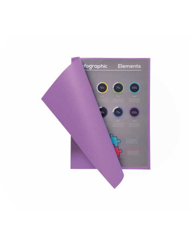 PACK 100 SUBCARPETAS EXACOMPTA FLASH 80