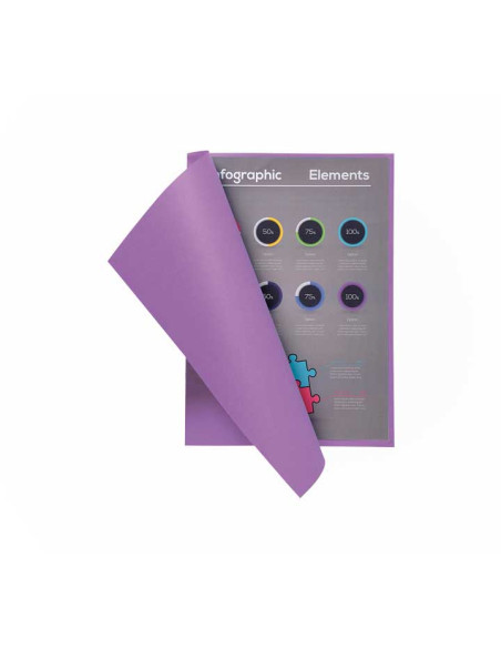 PACK 100 SUBCARPETAS EXACOMPTA FLASH 80