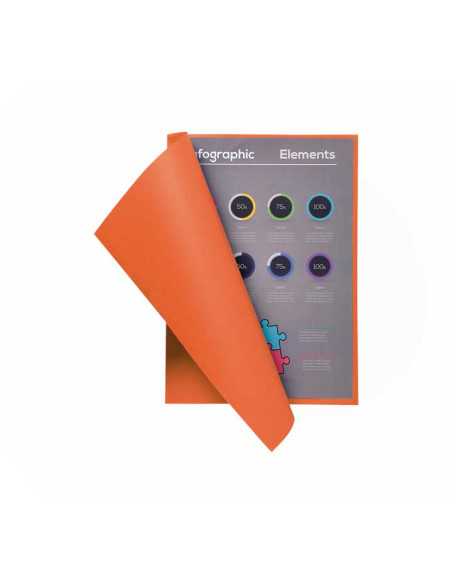 PACK 100 SUBCARPETAS EXACOMPTA FLASH 80