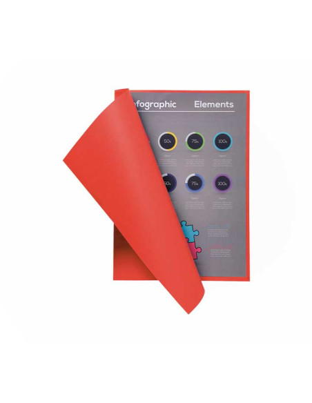PACK 100 SUBCARPETAS EXACOMPTA FLASH 80