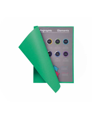 PACK 100 SUBCARPETAS EXACOMPTA FLASH 80