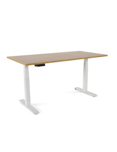MESA ERGONÓMICA ROCADA E-TABLE 160x80cm