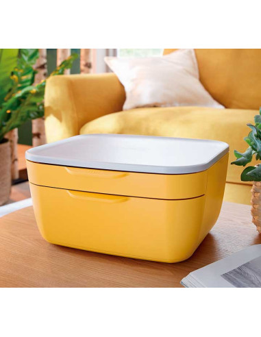 BUC 2 CAJONES LEITZ COSY