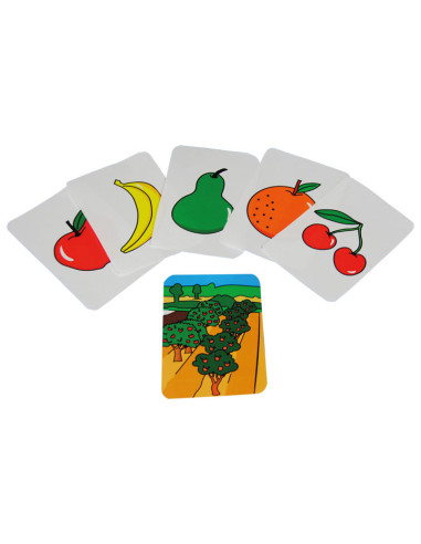 SET 9 TARJETAS HENBEA DE FAMILIAS ALIMENTOS