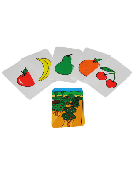 SET 9 TARJETAS HENBEA DE FAMILIAS ALIMENTOS