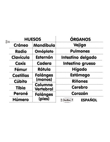 EL HOMBRE ESQUELETO HENBEA