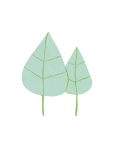 BOLSA 3 CARTULINAS NIEFENVER MAGNÉTICAS