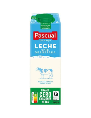 CAJA 6 BRICKS LECHE PASCUAL SEMIDESNATADA 1L