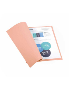 PACK 100 SUBCARPETAS EXACOMPTA FOREVER 220 2