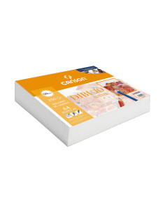 PACK RETRACTILADO 250 LAMINAS CANSON BASIK LISO A4 130gr