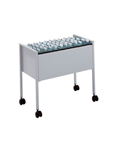 CARRO CARPETAS COLGANTES DURABLE ECONOMY 80 A4 GRIS