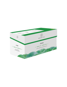 CAJA 25 SOBRES INFUSIÓN SEMPER TEA  MINT