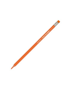 ESTUCHE 24 LÁPICES DE COLORES ALPINO BORRABLES