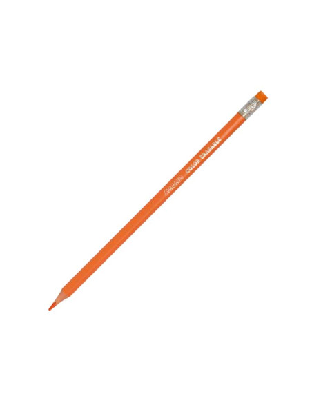 ALPINO LÁPICES DE COLORES BORRABLES 177MM CSURTIDOS ESTUCHE 24 UD