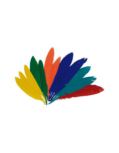 BOLSA 60 PLUMAS INDIO INNSPIRO 140mm SURTIDAS