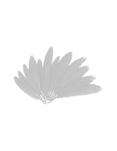 BOLSA 60 PLUMAS INDIO INNSPIRO 140mm