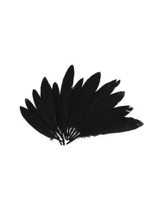 BOLSA 60 PLUMAS INDIO INNSPIRO 140mm