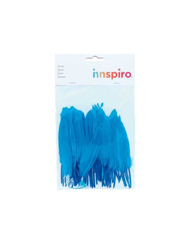 BOLSA 60 PLUMAS INDIO INNSPIRO 140mm