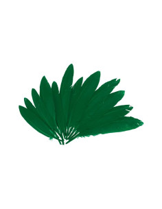 BOLSA 60 PLUMAS INDIO INNSPIRO 140mm