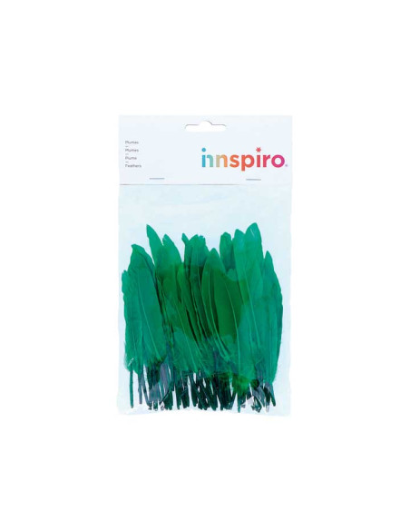 BOLSA 60 PLUMAS INDIO INNSPIRO 140mm