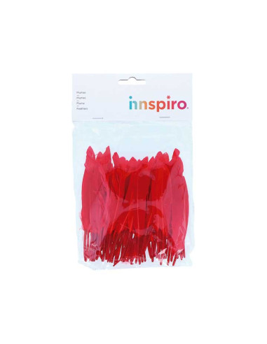 BOLSA 60 PLUMAS INDIO INNSPIRO 140mm