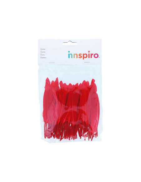 BOLSA 60 PLUMAS INDIO INNSPIRO 140mm