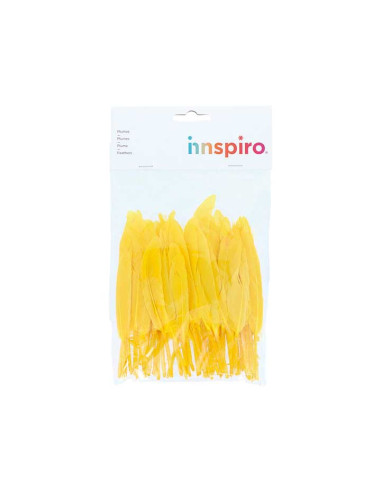 BOLSA 60 PLUMAS INDIO INNSPIRO 140mm