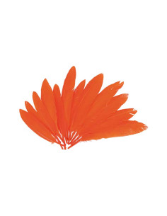 BOLSA 60 PLUMAS INDIO INNSPIRO 140mm