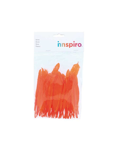 BOLSA 60 PLUMAS INDIO INNSPIRO 140mm