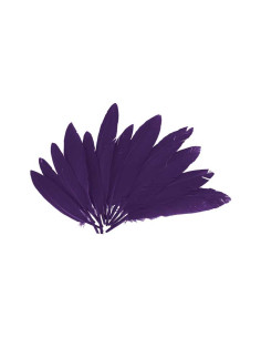 BOLSA 60 PLUMAS INDIO INNSPIRO 140mm