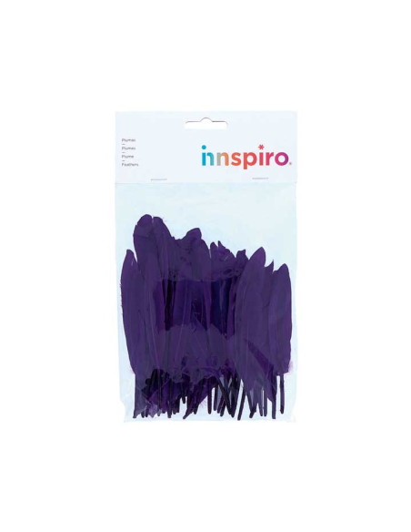 BOLSA 60 PLUMAS INDIO INNSPIRO 140mm