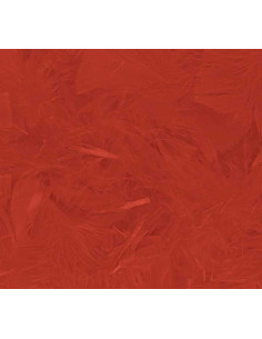 BOLSA PLUMONES INNSPIRO 75mm 14gr