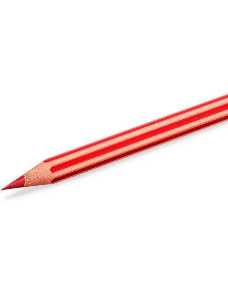 BIC LÁPICES DE COLORES KIDS EVOLUTION STRIPES CSURTIDOS ESTUCHE 24 UD