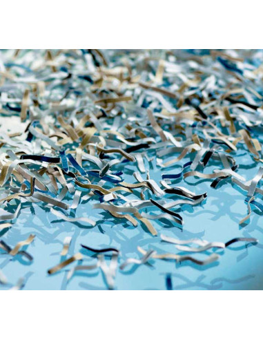 DESTRUCTORA DAHLE MPH 510 SECURITY