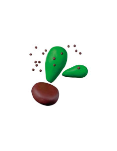 KIT PASTA FIMO FUNNY CACTUS 2