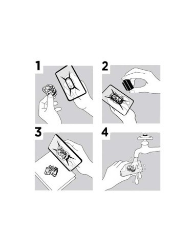 SELLOS ACRÍLICOS INNSPIRO ANIMALES ELEGANTES