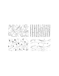 SELLOS ACRÍLICOS INNSPIRO TEXTURAS n3 2