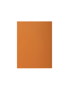 PACK 100 SUBCARPETAS EXACOMPTA ROCKS 80