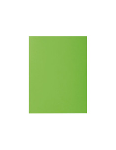 PACK 100 SUBCARPETAS EXACOMPTA ROCKS 80